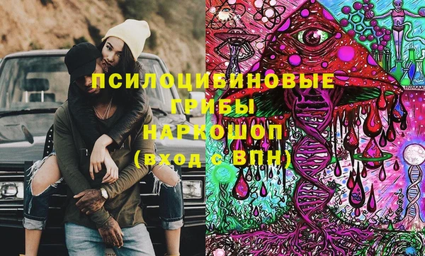 хмурый Алексеевка
