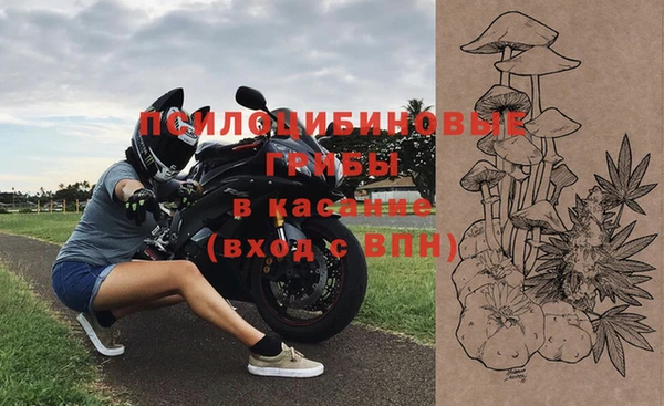 хмурый Алексеевка